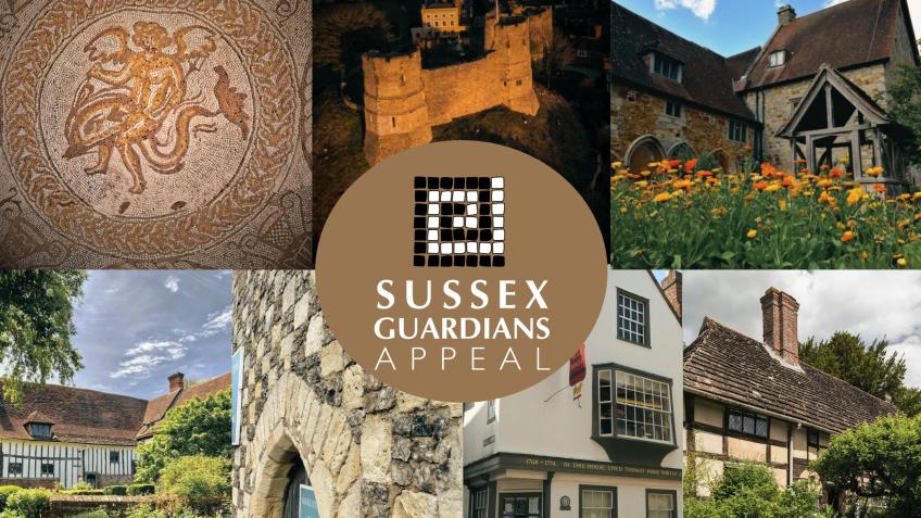 Sussex Guardians Appeal - 2024