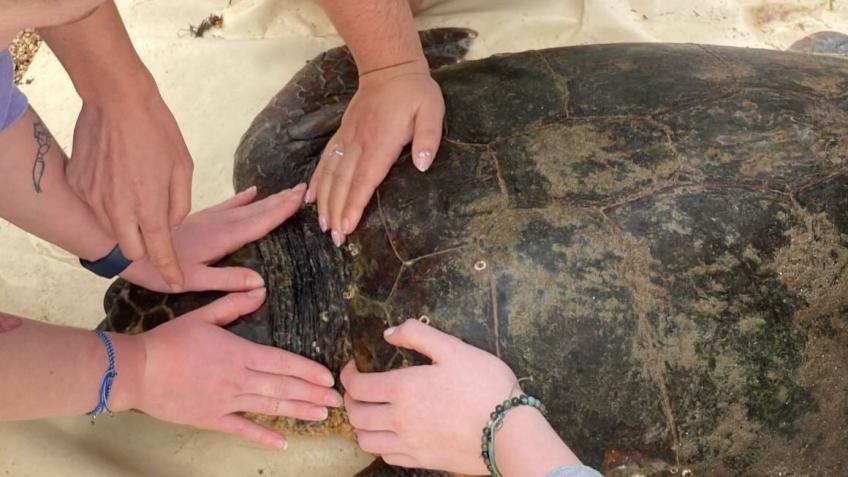 Help Me Pursue My Dream in Conservation