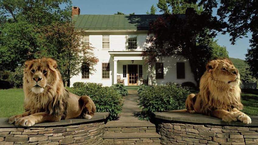 Make your dream home come true!
