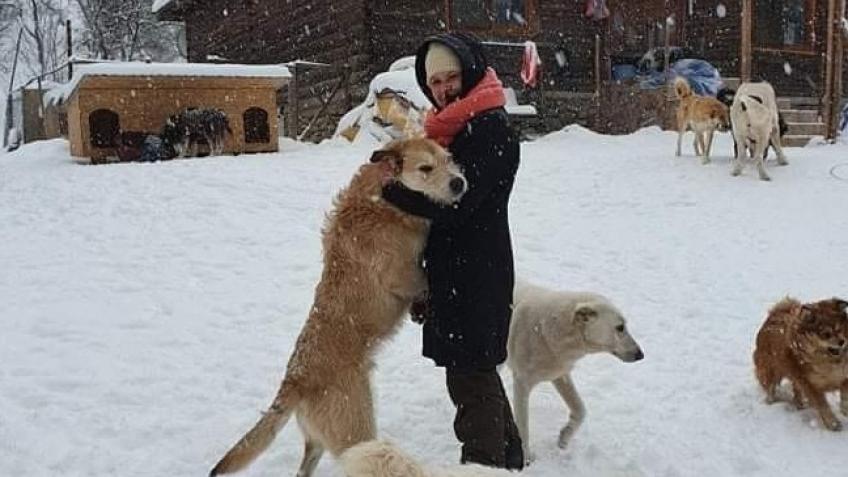 Alina's Shelter Fundraiser - Part 2