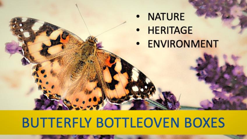 Triple B (Butterfly Bottleoven Boxes)