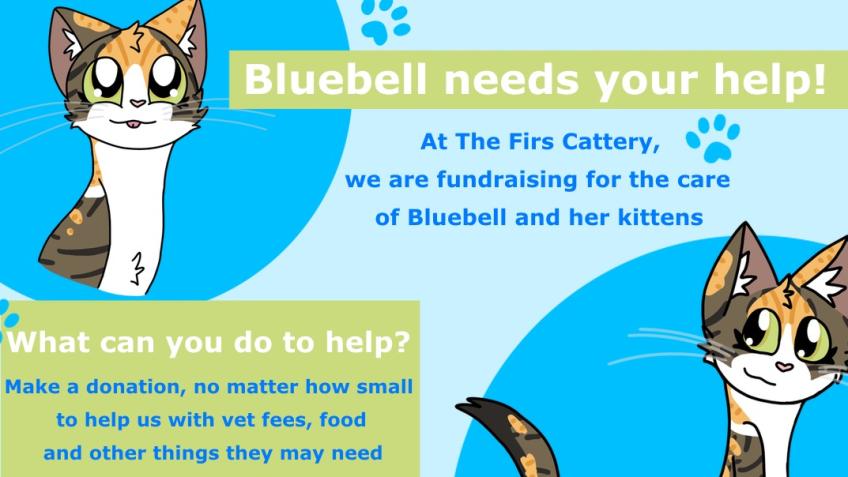 Please help Bluebell and her Babies...