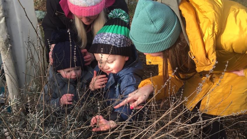 Climate Action at Milton Community Garden