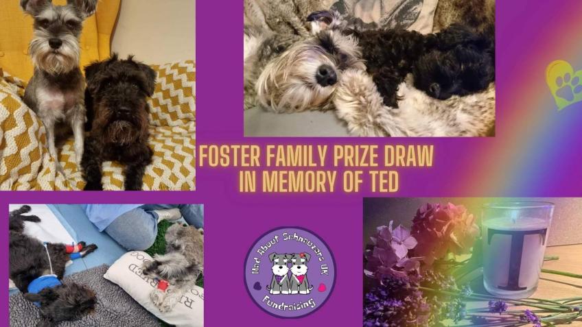 Foster Family Prize Draw in Memory of Ted
