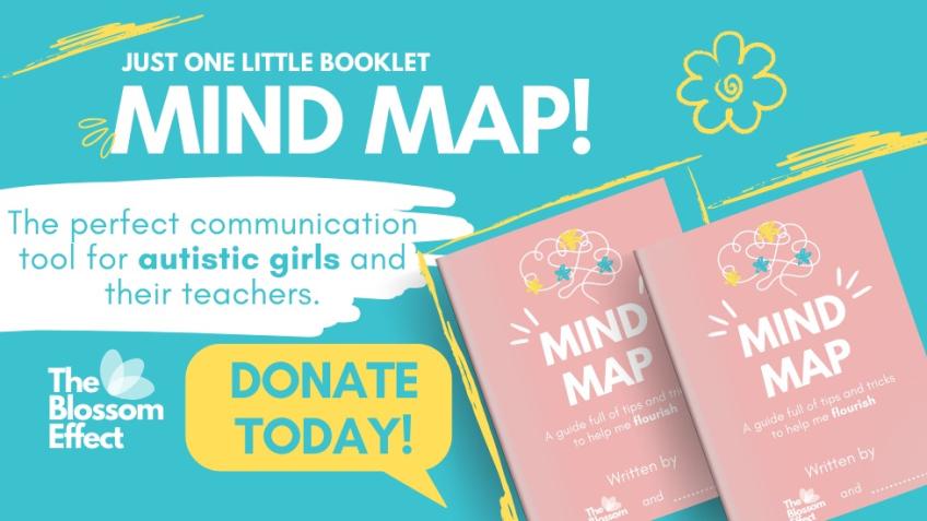 The Blossom Effect | Mind Map