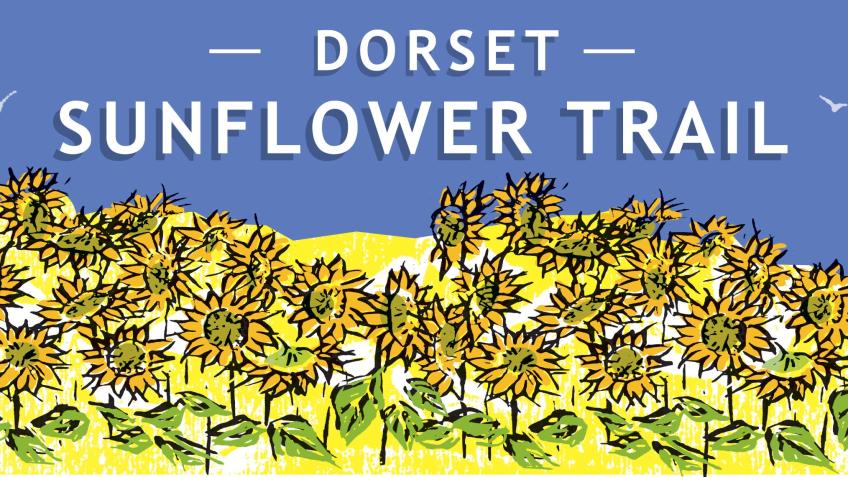 Dorset Sunflower Trail 2024     Charity Prize Draw