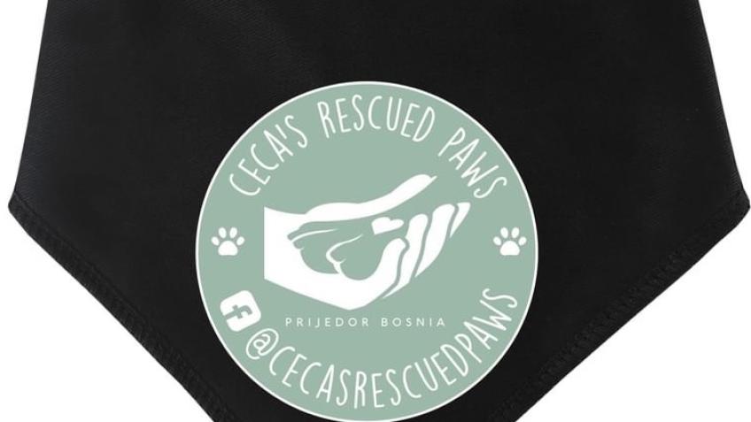 Ceca’s Rescued Paws Bandana
