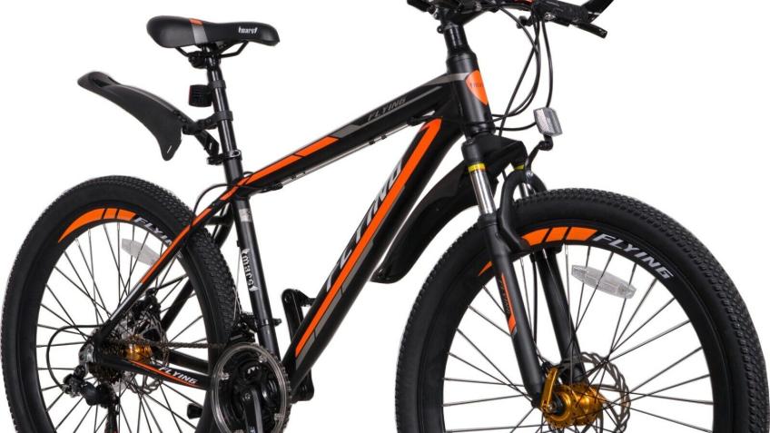 Bike to travel to work