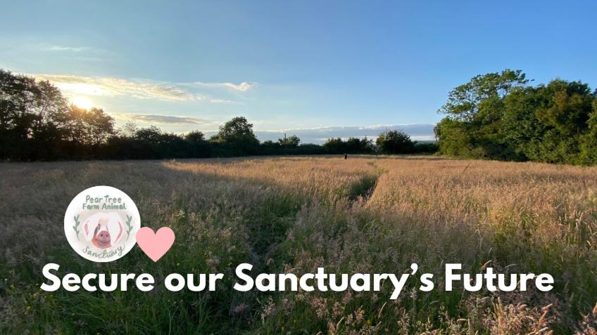 Help us to Secure the Sanctuary's Future.