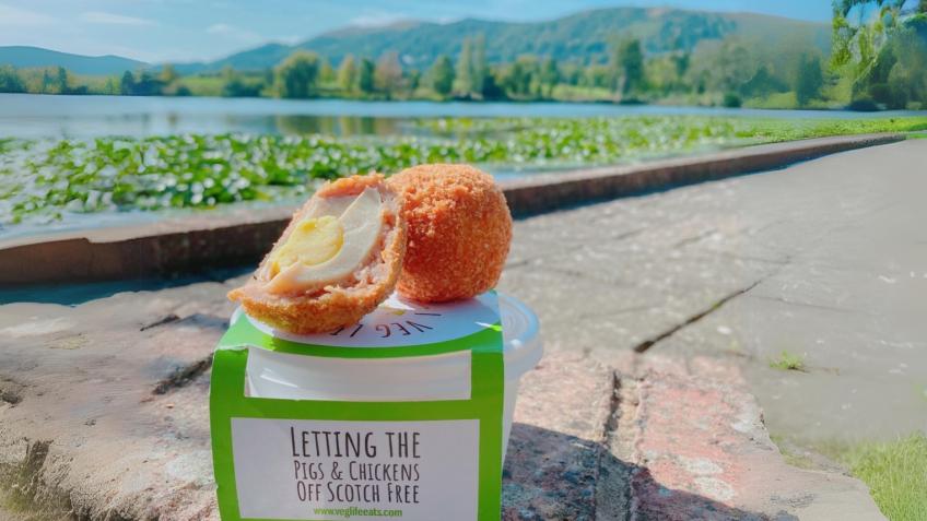 Veg Life Eggspansion