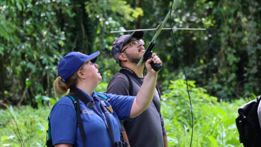 Drusillas Conservation in Action