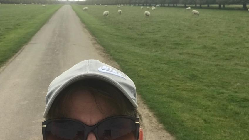 Helen's dawn walk