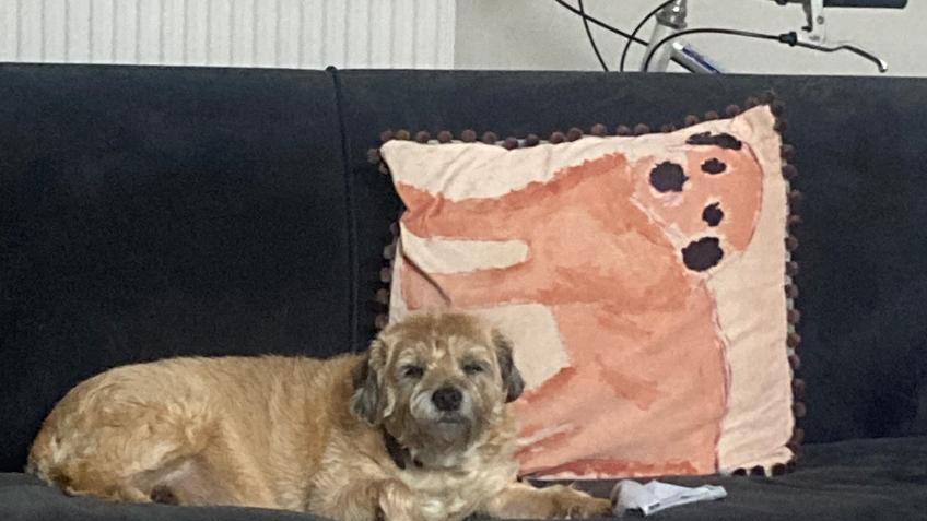 Please help our Morag!