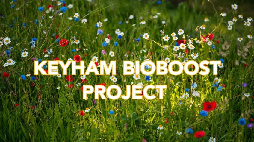 Keyham Bioboost Project
