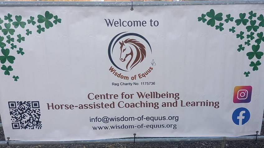 WISDOM OF EQUUS