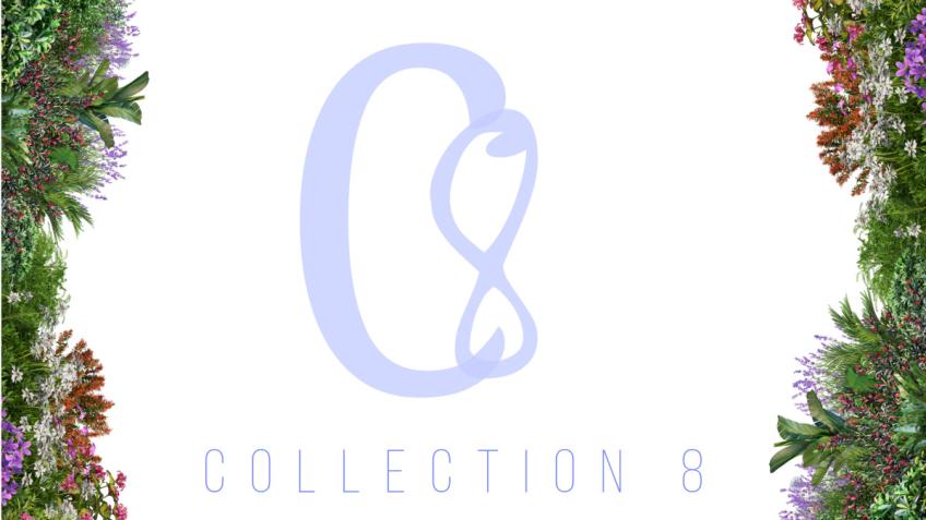 Collection8