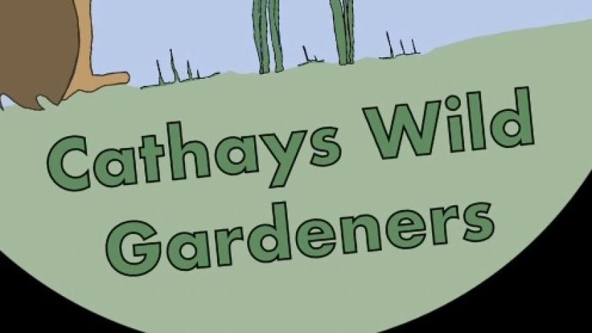 Cathays Wild Gardners