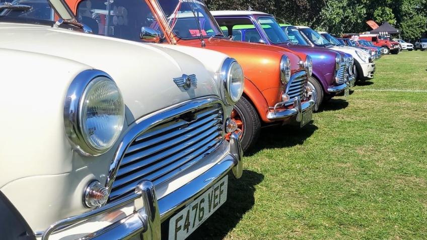 North Devon Minis - for new marketing materials