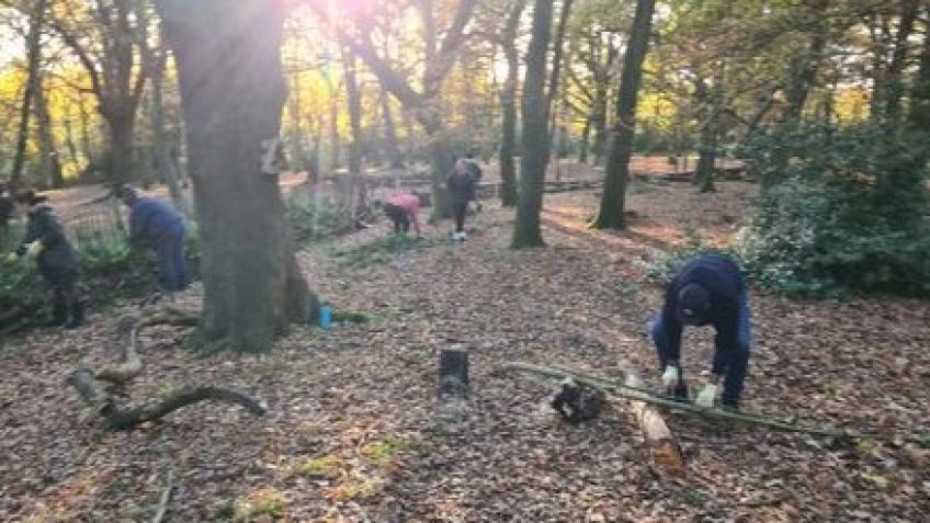 Save your Streatham Rookery Gardens