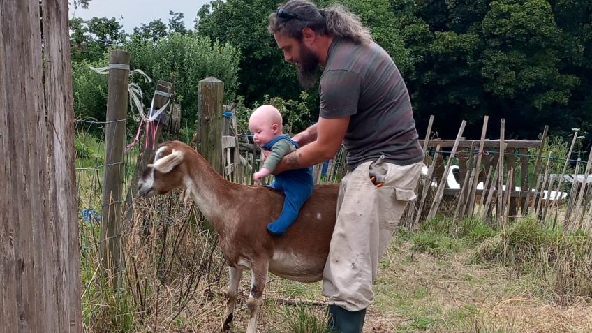 Help baby Bodhi keep his home