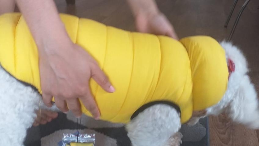 Please Help fund my HomeCare business startup.