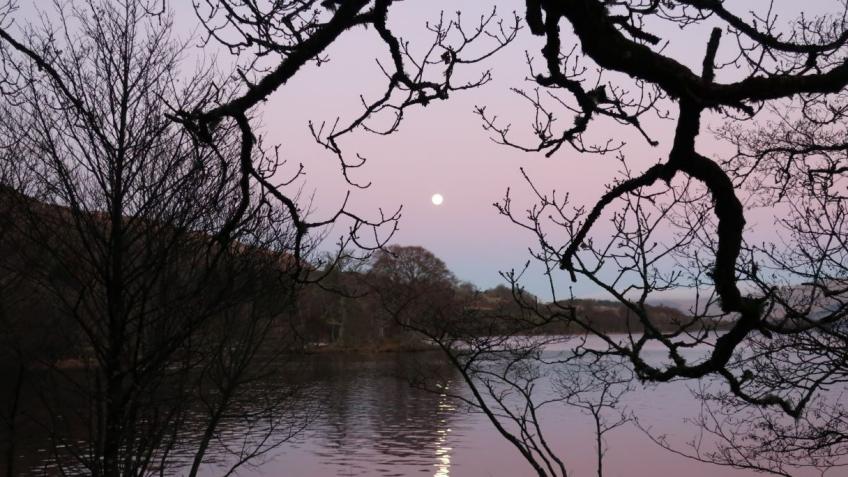 To self publish my novel Little Red Rowing Boat