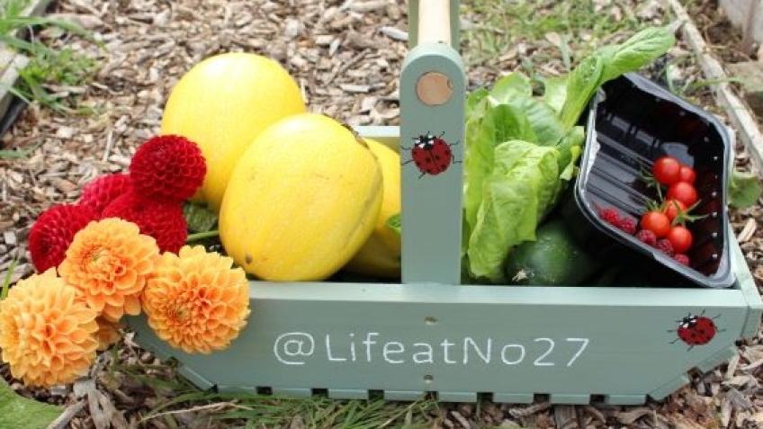 Keep Life at No.27 - Towcester Therapy Garden Open