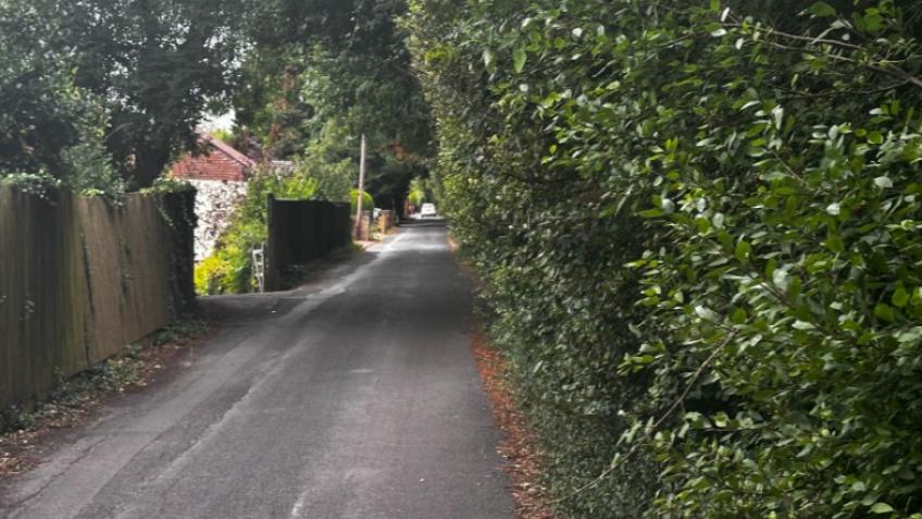 Warren Hedge Cut Back