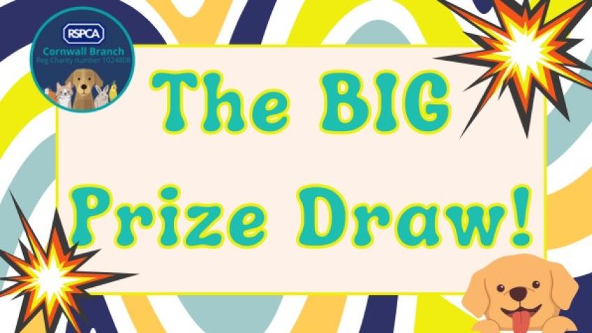 The BIG Prize Draw!