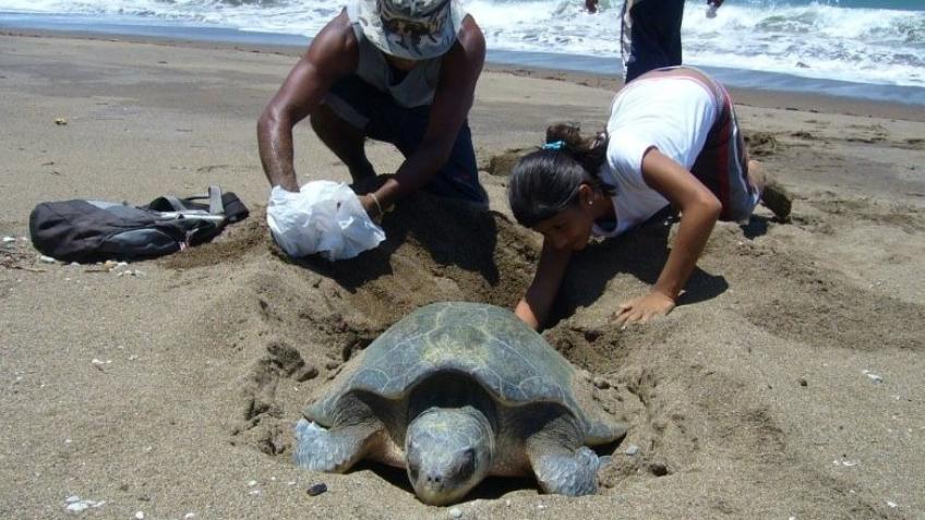 Global Action 2025 - Costa Rica