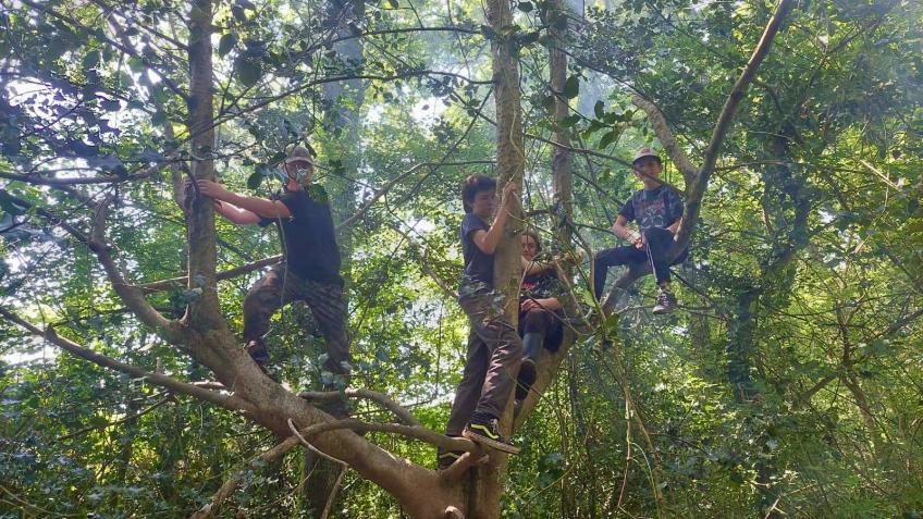 Woodland for forest school at Oakwood