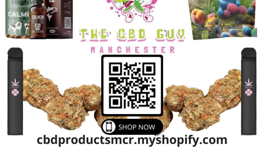 Help me start a business?