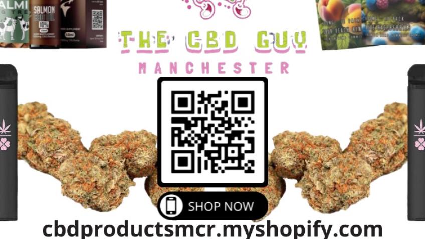 Help me start a business?