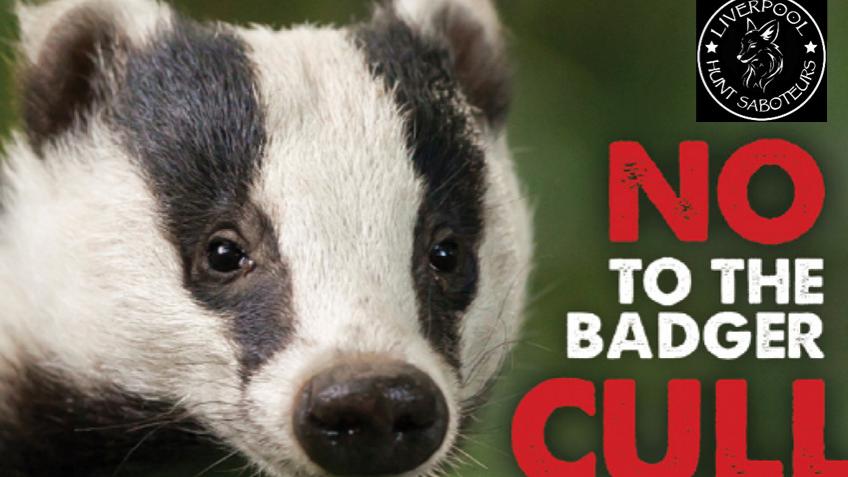 Keep us saving badgers!