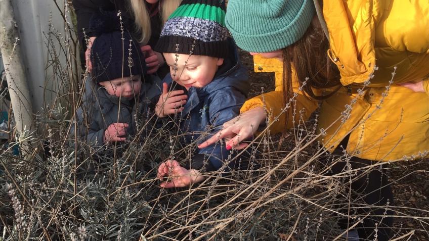 Climate Action at Milton Community Garden