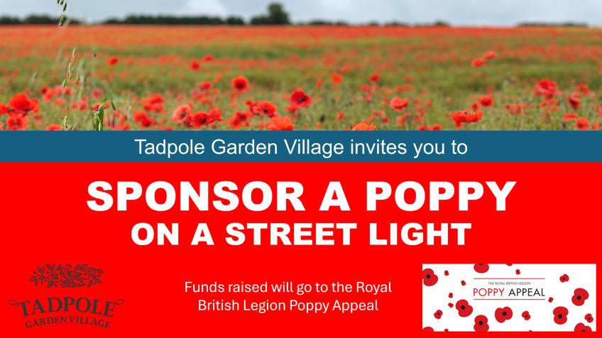 Tadpole Garden Village Streetlight Poppies