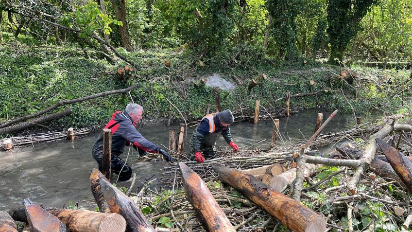 Cambridge City Chalk Streams Project
