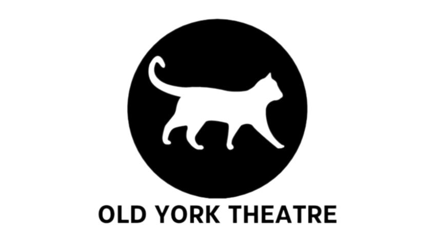 Support The Jorvik Play - Exciting Viking Theatre