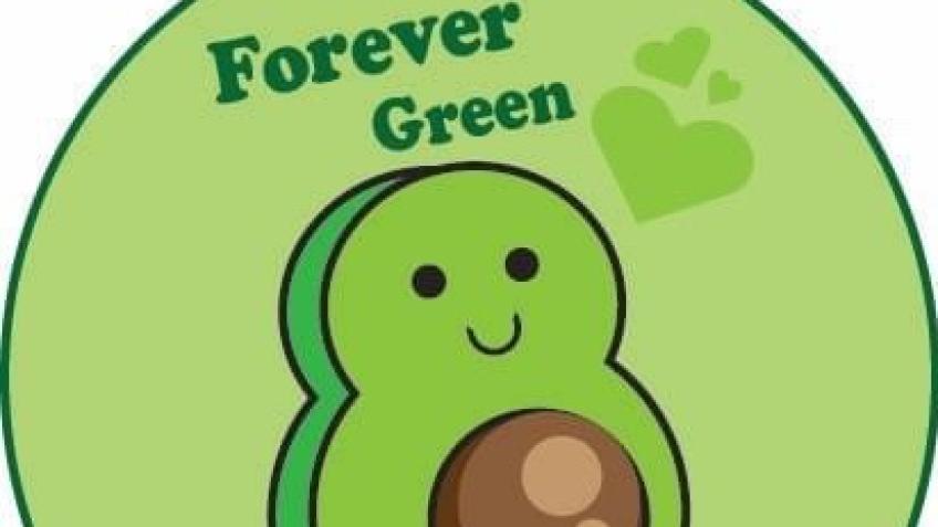Forever Green Jewellery