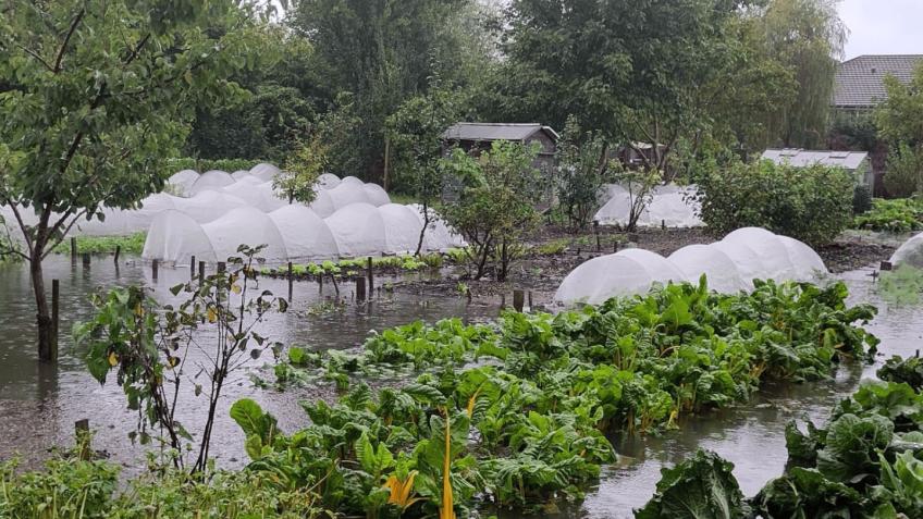 Help Oxford City Farm Bounce Back After Flooding