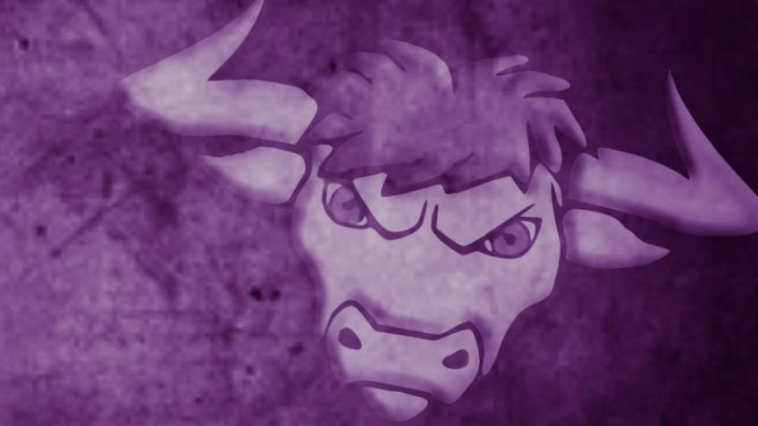 Bolsover Bulls RFL Sponsored Walk