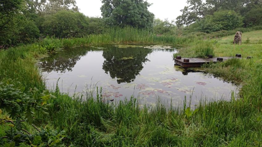 Berry Park Wildlife Pond