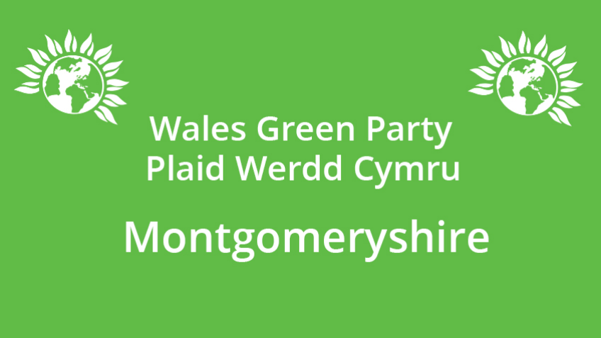 A GREEN PARTY MP for MONTGOMERYSHIRE