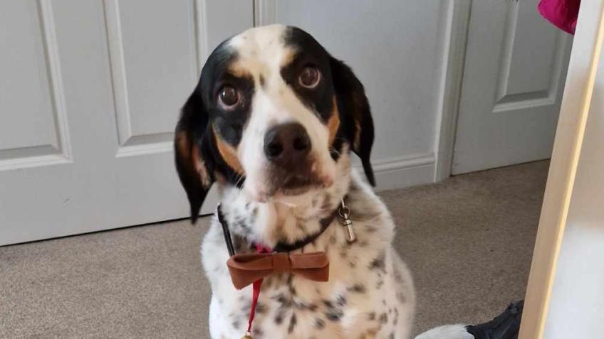 Help Elena get emergency eye surgery!