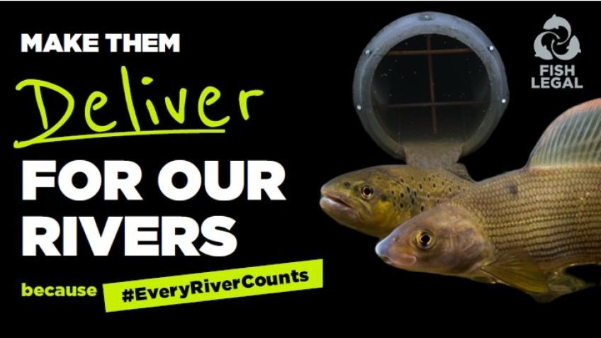 A Nationally Important Legal Case for Rivers
