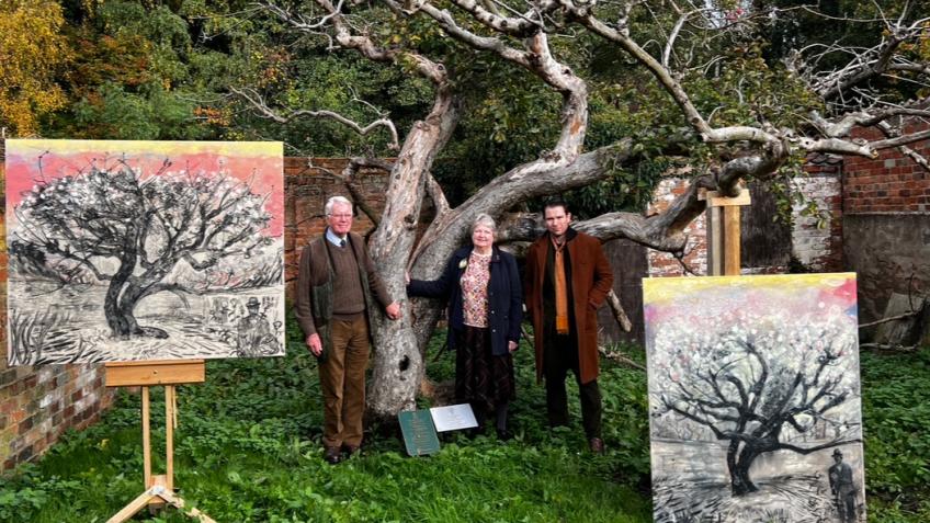 Bramley Apple ‘Mother’ Tree Rescue Fund