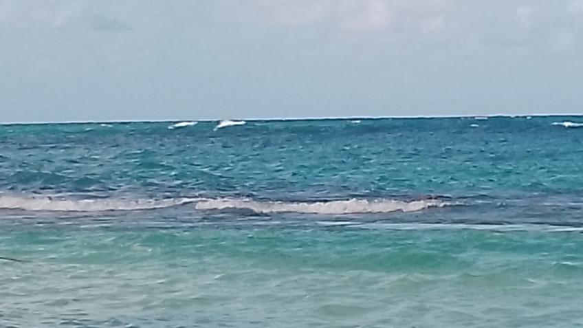 Jamaica Tour Operator