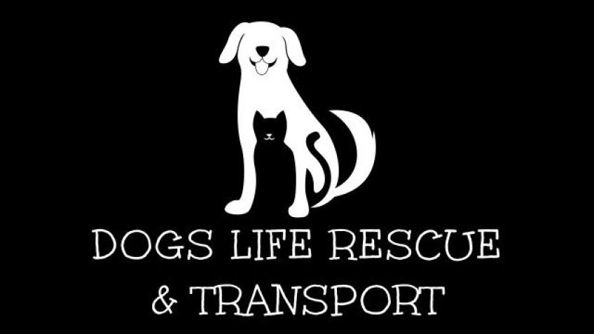 Dogs Life Rescue & Transport CC 1210334