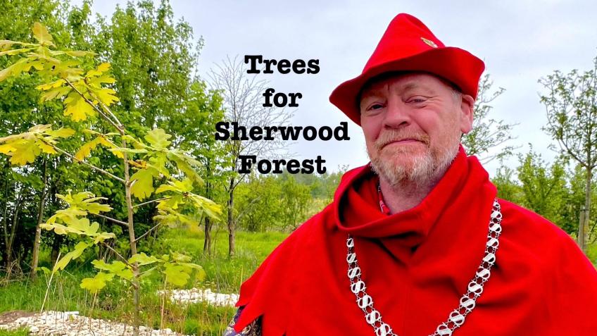 Growing Sherwood Forest from seed. Oaks and more!
