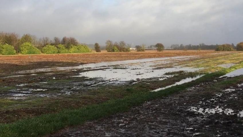 Seeking a Review to quash a planning decision